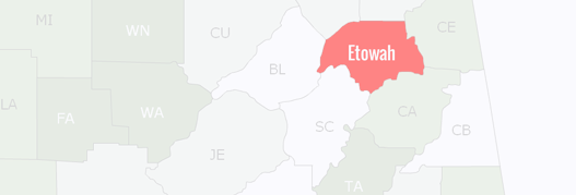 Etowah County Map