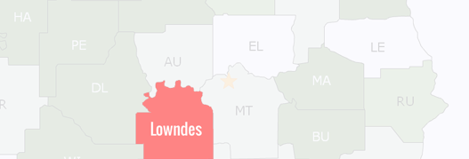 Lowndes County Map